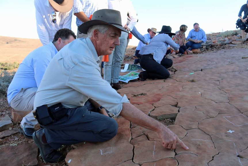 A picture of government officials inspecting fossils in rocks near Leigh Creek