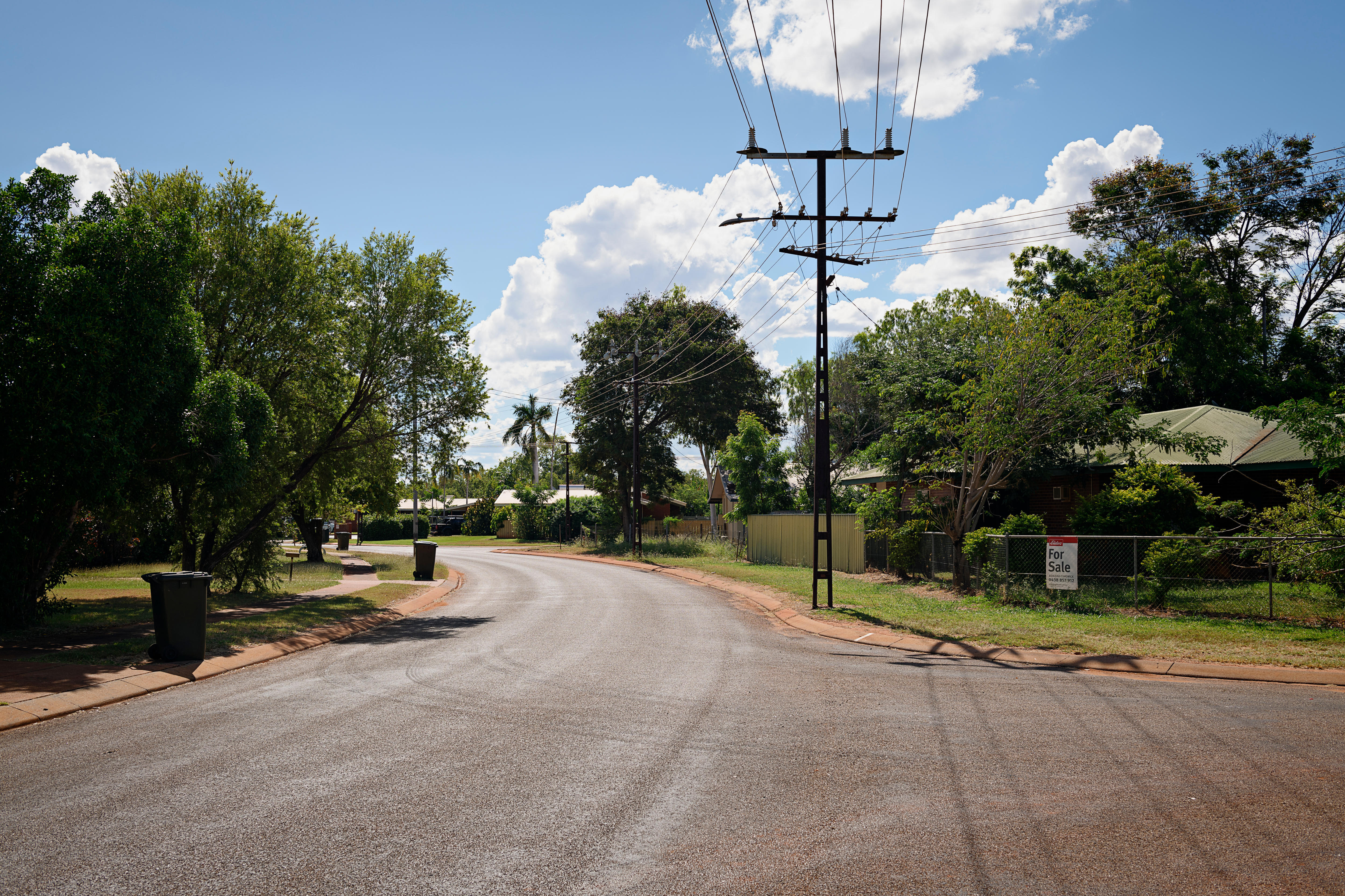 Homes and lush trees line a suburban street. 