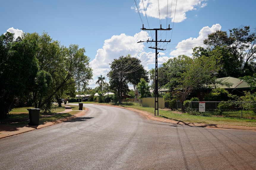 Homes and lush trees line a suburban street. 