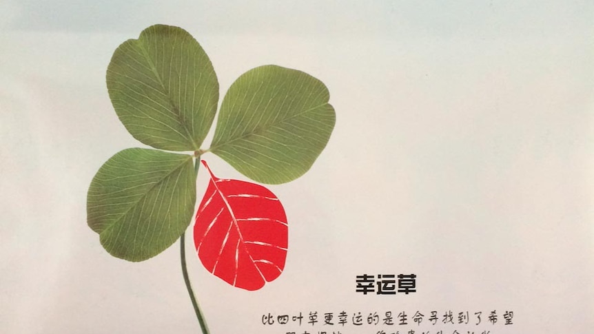 Organ donation poster in China