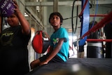 Young Palm Island boy with a blue shirt on sitting on the side of a boxing ring