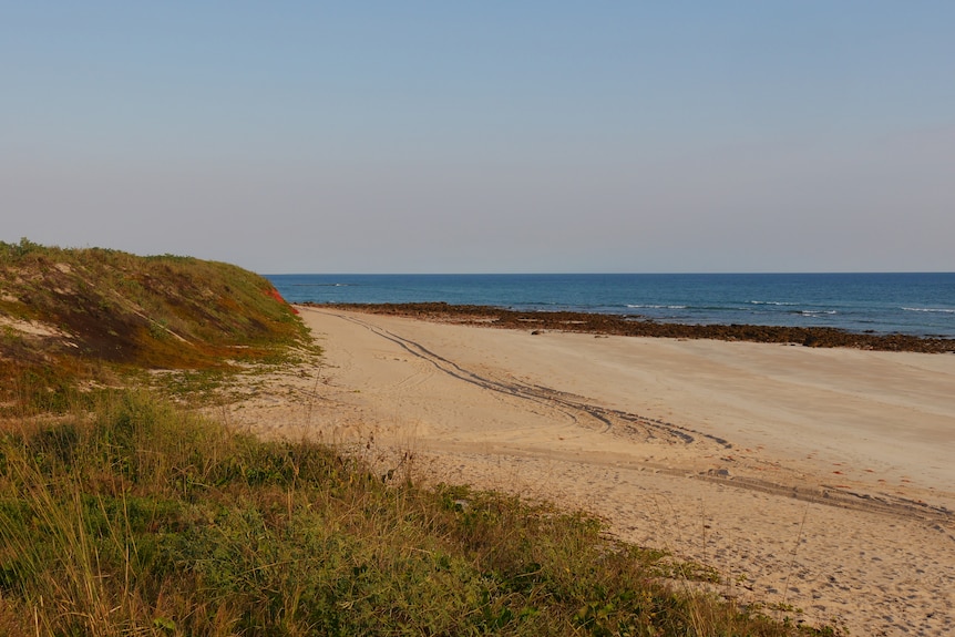 A wide shot of Quondong Beach.