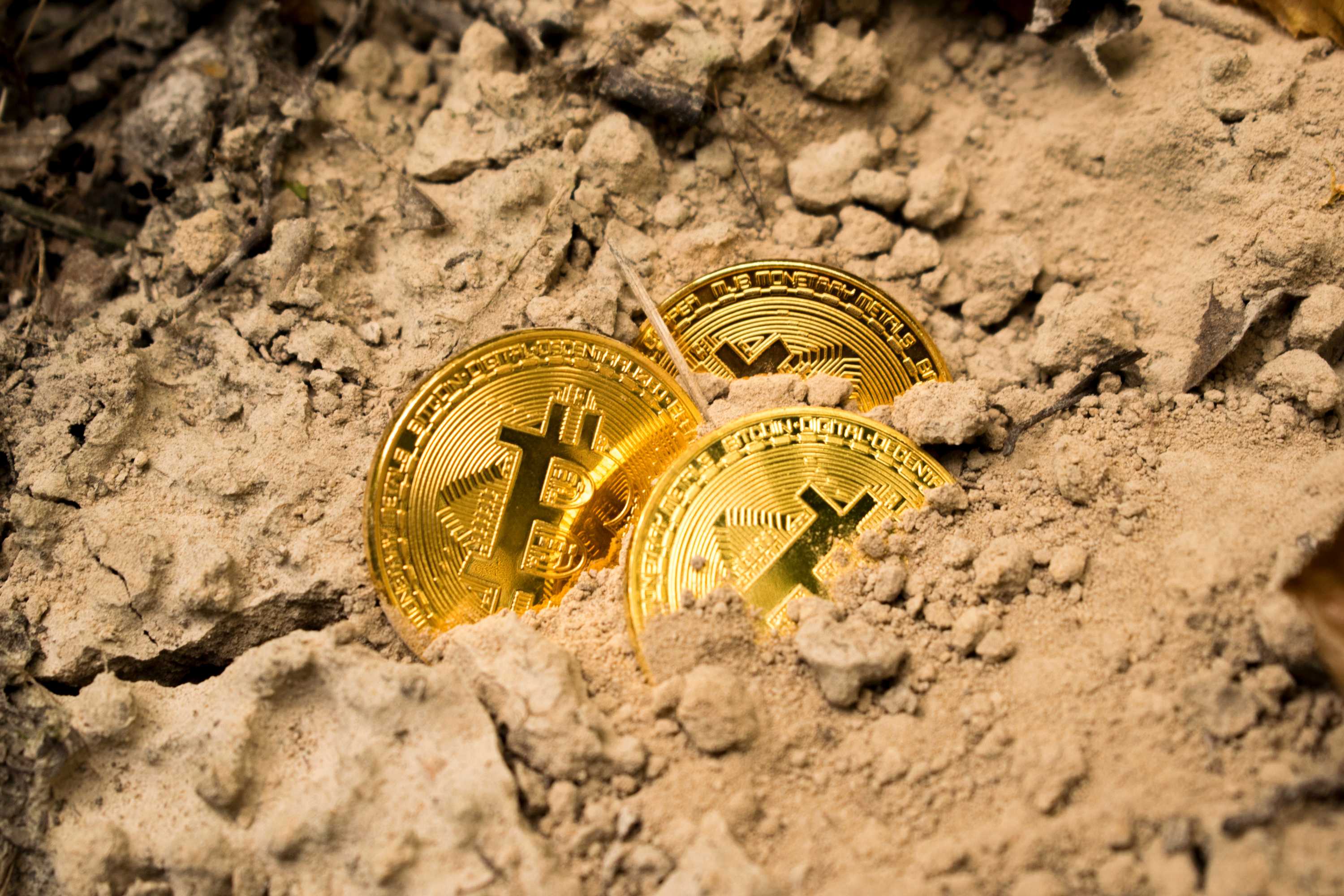 Digging into the world of buried treasure - ABC listen