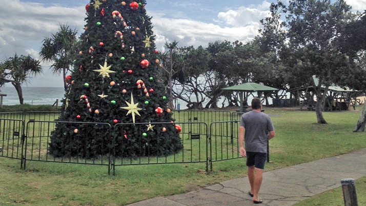 A man walks past a large Christmas tree in a park at Kingscliff