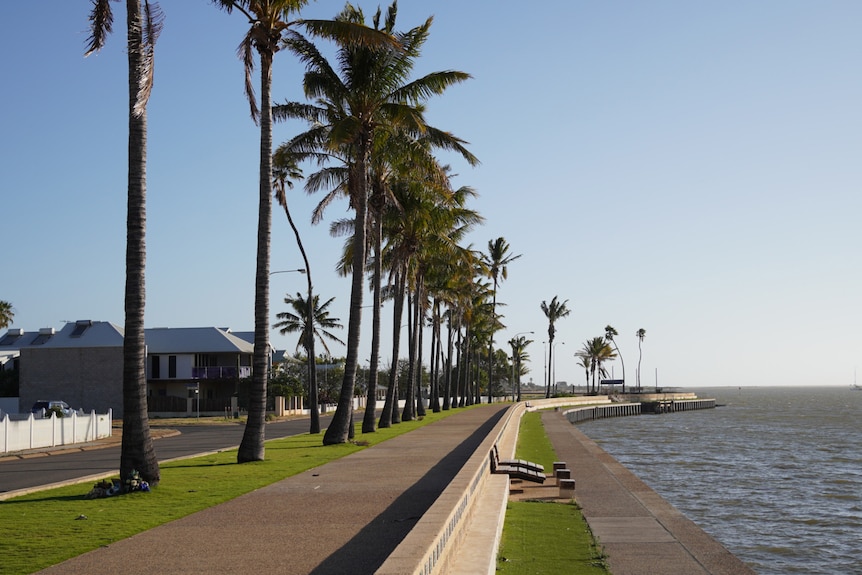 A wide shot of the Carnarvon foreshore with palm trees lining the path beside the road and the ocean on the right.