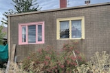 Back of building with fake brick cladding, a pink window, a yellow window and overgrown garden