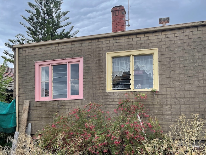 Back of building with fake brick cladding, a pink window, a yellow window and overgrown garden