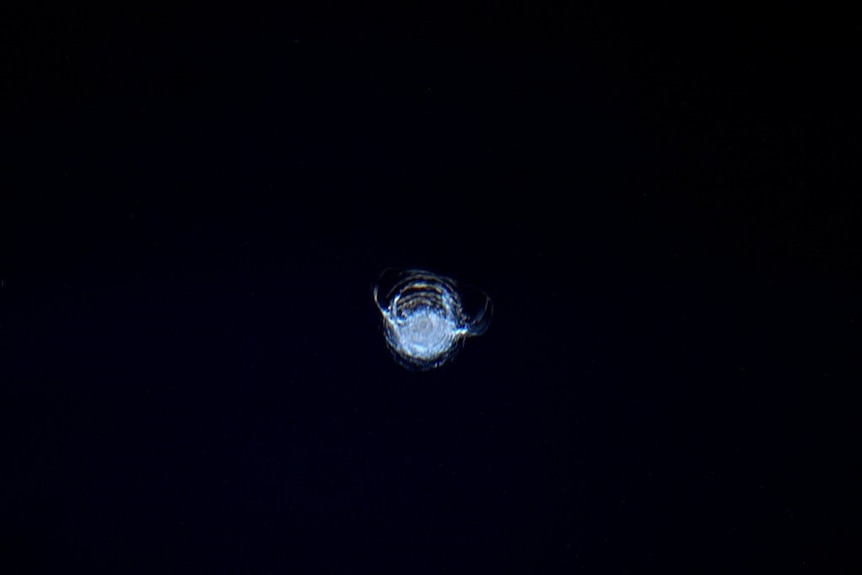 Crack on space station's window caused by paint
