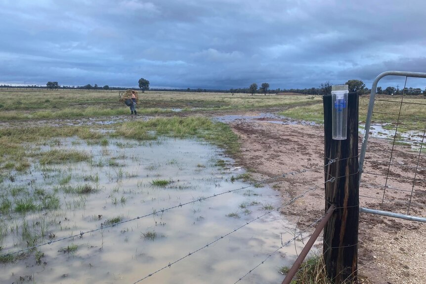 Woman stands in flooded packed with a rain gauge attached to a fence in the foreground