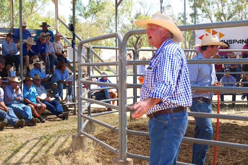 A man in blue checked shirt and straw hat taking bids from the crowd