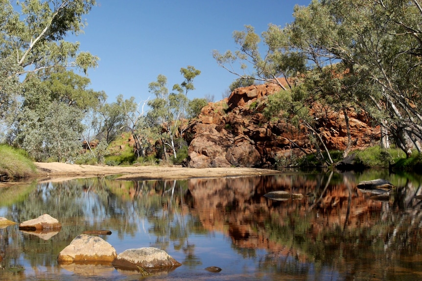 Water surrounded by trees and red rocks