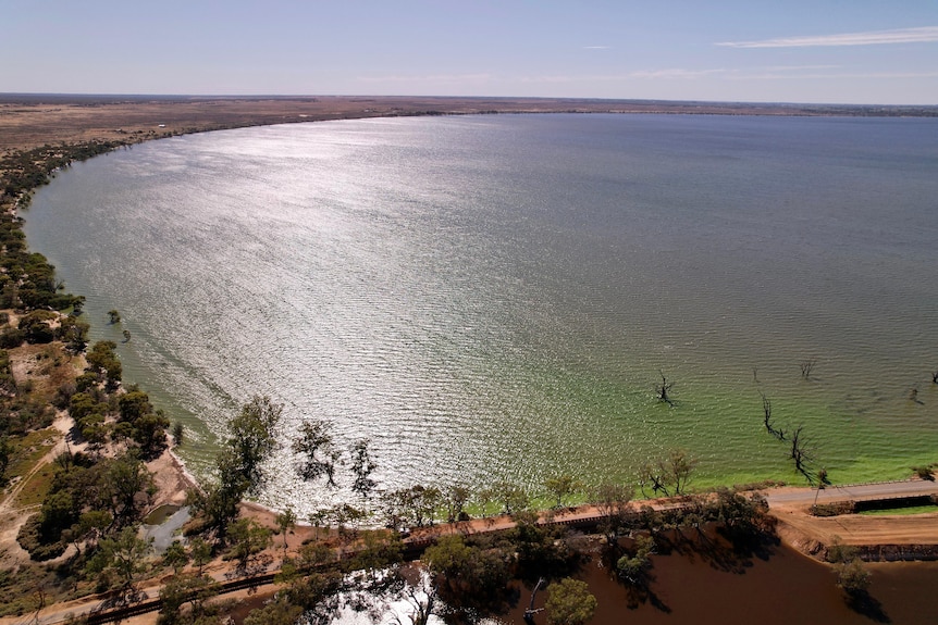 Drone shot of Lake Bonney with a green algae bloom on the shoreline.