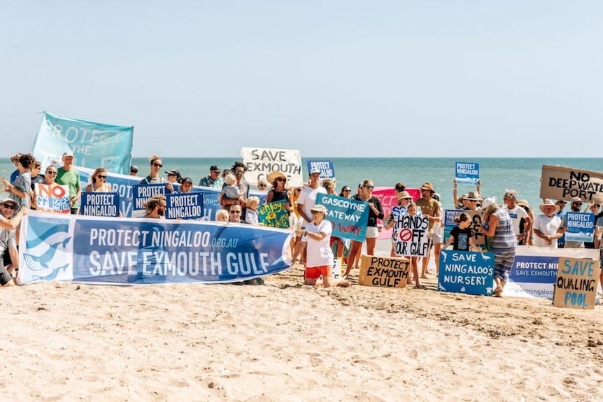 A large group of people gather on an Exmouth beach holding signs 