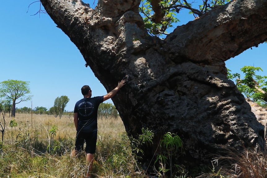 We see the back of Jordan touching a large boab tree with his hand