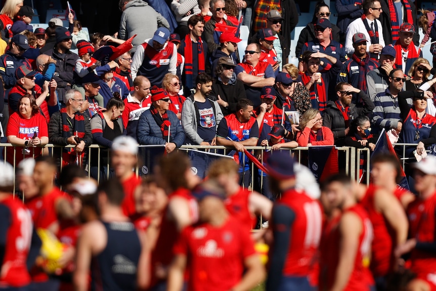 Melbourne Demons fans watch the team train before the AFL grand final.