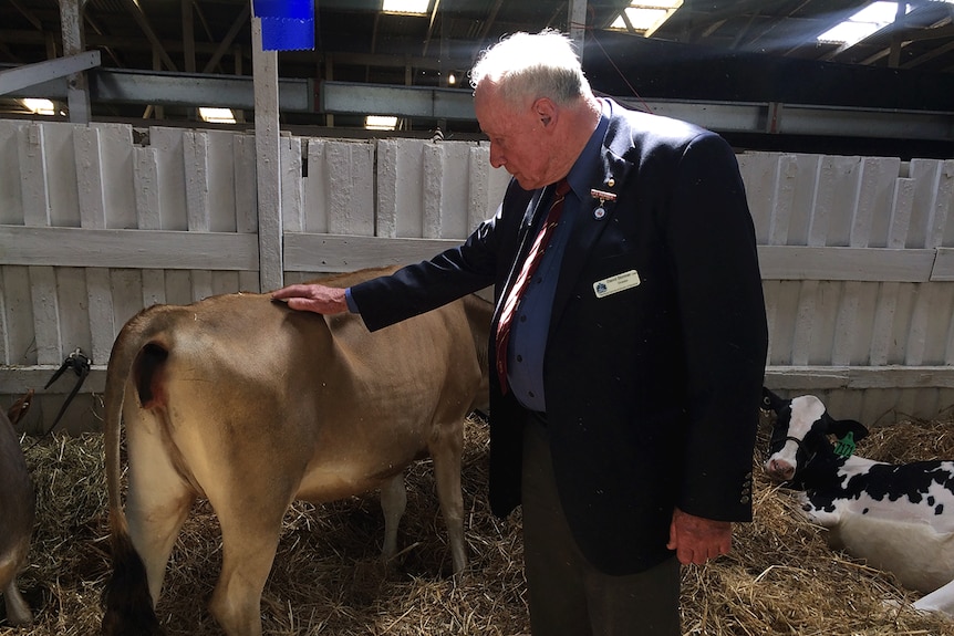 Royal Hobart Show cattle auctioneer David Skinner