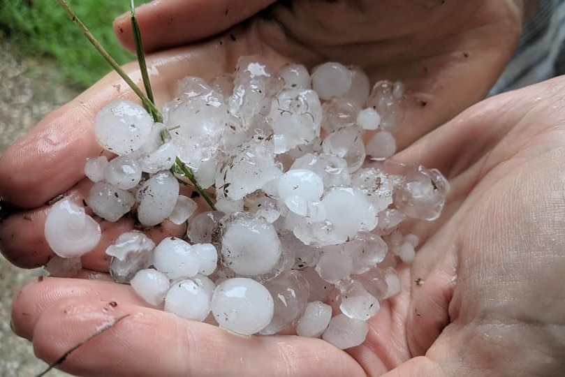 A small bunch of hailstones in the hand of a person