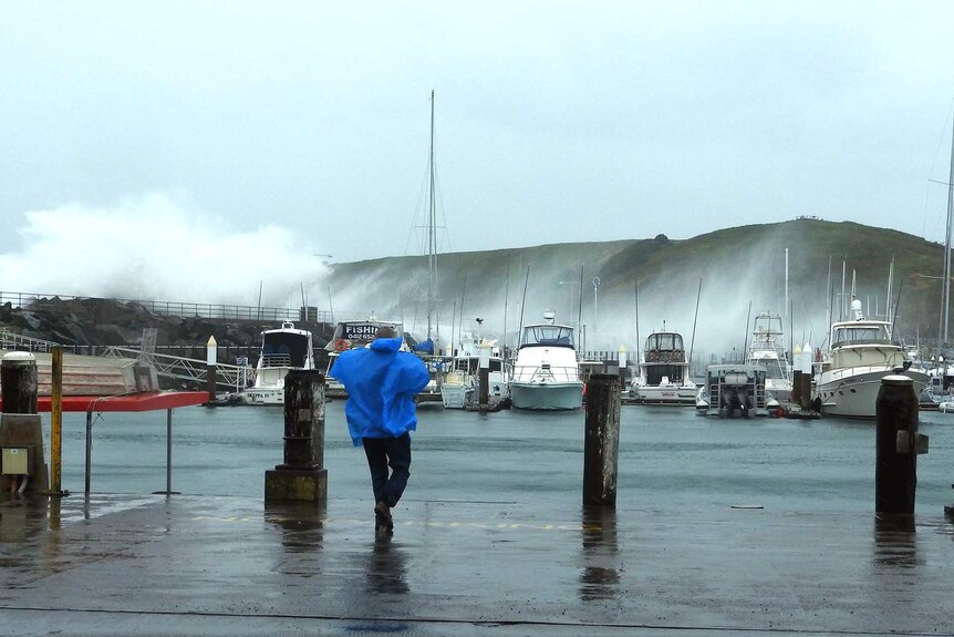 Water shoots into the air as a wave hits a marina wall.