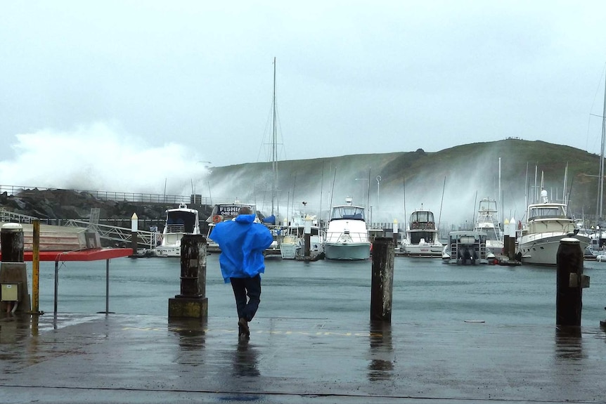 Water shoots into the air as a wave hits a marina wall.