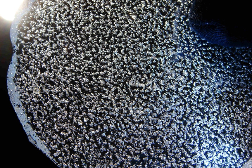 Small bubbles in a circular sheet of ice