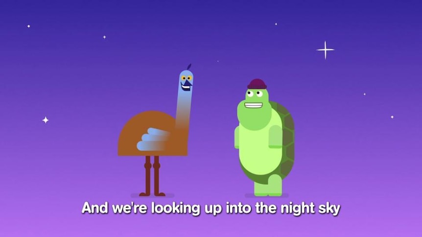 Graphic of cartoon emu and turtle with stars in night sky
