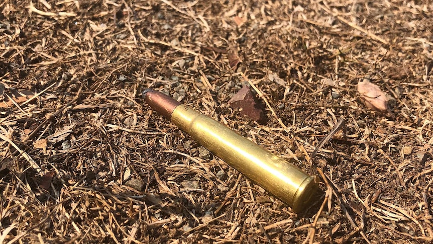 A long bullet shell lies on the ground.