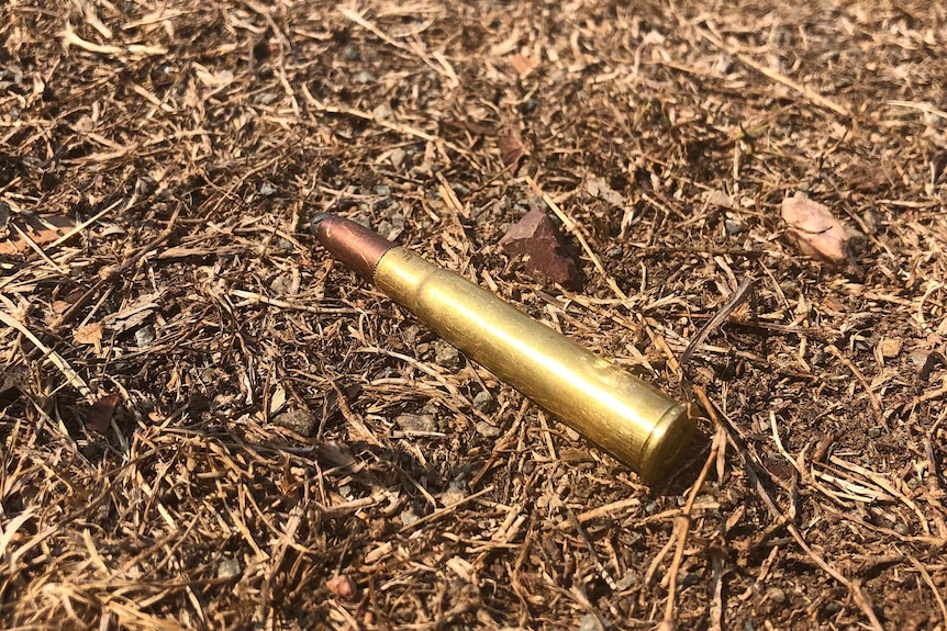 A long bullet shell lies on the ground.