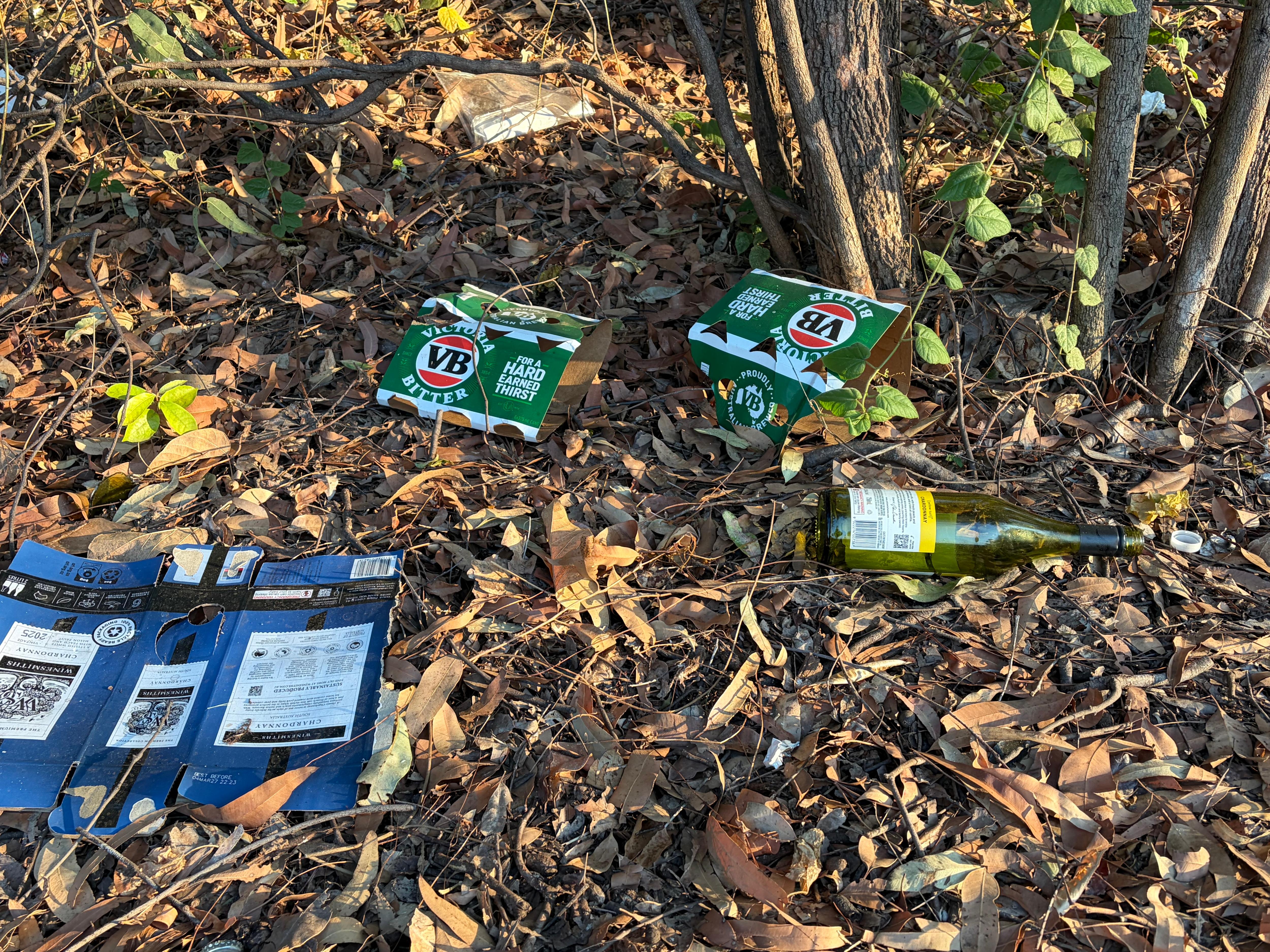 An empty wine bottle and empty beer cartons lie discarded on the ground.