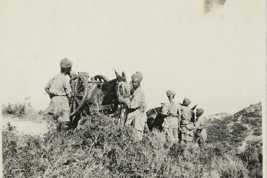 A group of soldiers with mules
