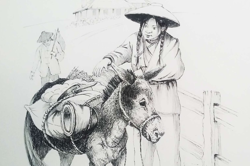 A black and white picture of a Chinese woman standing with a donkey.