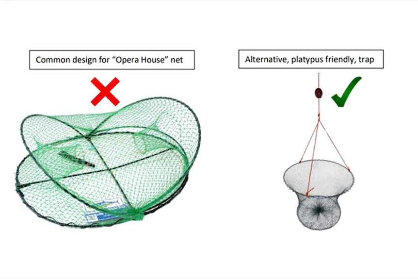 Two pictures of traps show the difference between safe and dangerous net options.