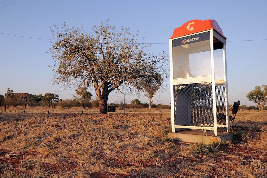 A Telstra payphone in a remote setting with trees and grass