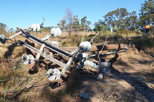 Power lines fallen in a bushland setting.