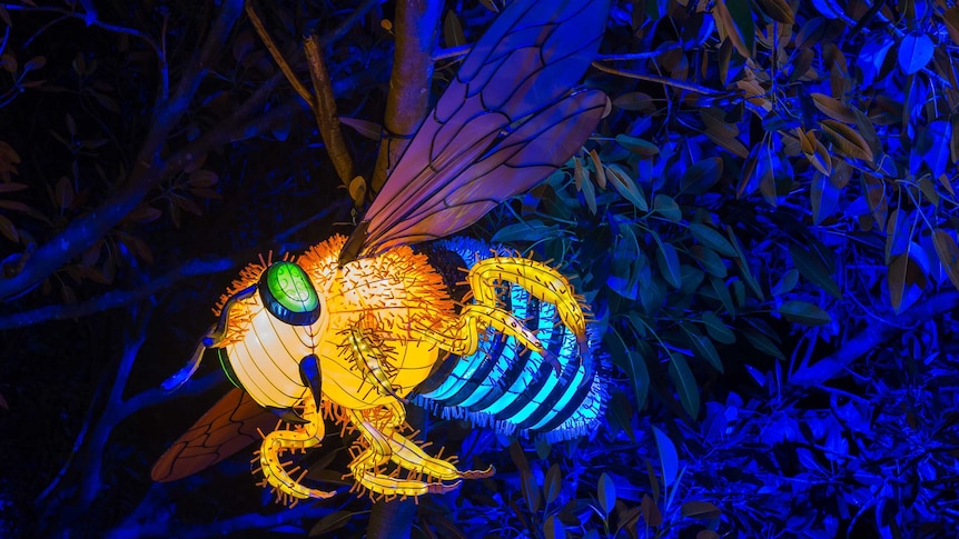 A Vivid Sydney Light sculpture at Taronga Zoo in May 2017.
