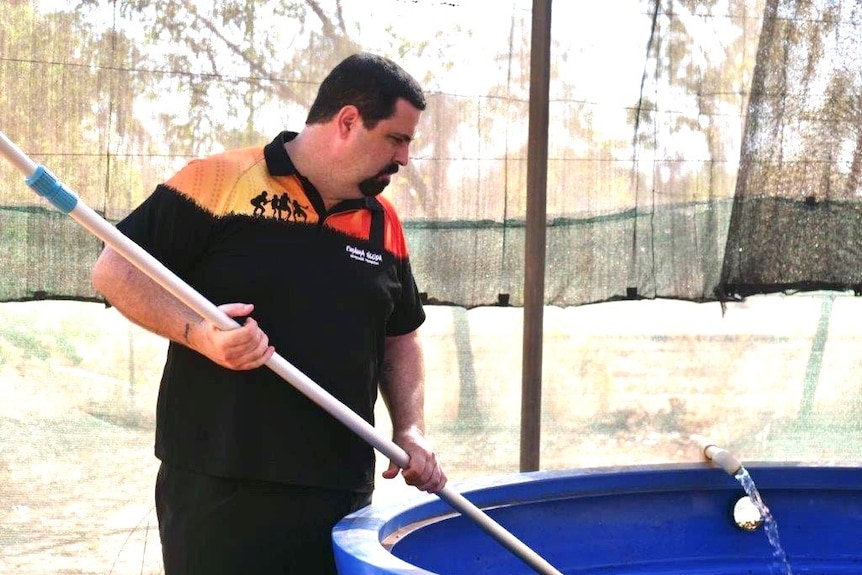 A man scoops net into aquaculture tank