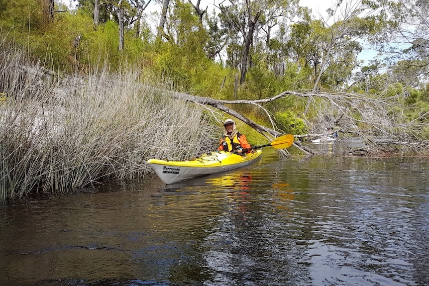 A man paddling a canoe over the water near the reedy banks of a creek