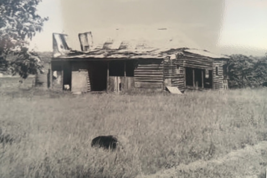 A black and white photo of an old home made from wood with a tin roof.