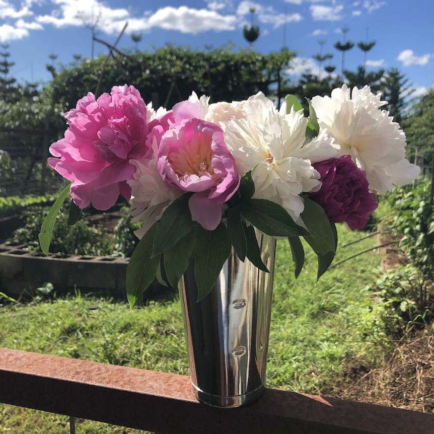 Peonies in a vase.