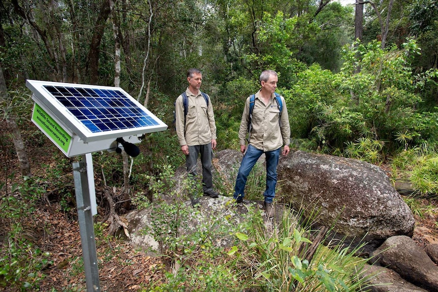 Dr David Tucker (left) and Professor Paul Roe stand near a solar-powered sensor placed in a forest