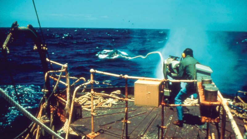 Whale harpoon gun firing