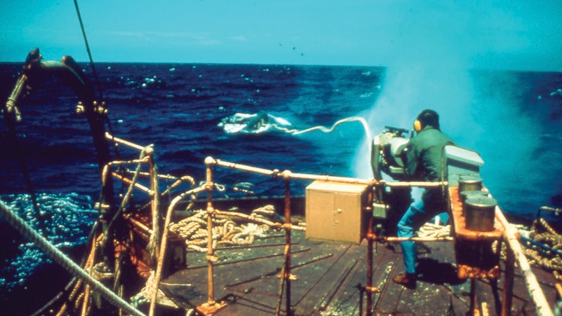 Whale harpoon gun firing