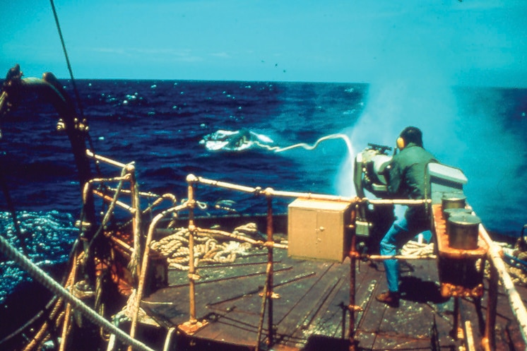 Cheynes Beach Whaling Company - harpoon gun firing