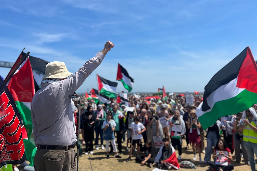 pro-palestinian supporters at a demonstration in sydney's port botany on saturday november 11