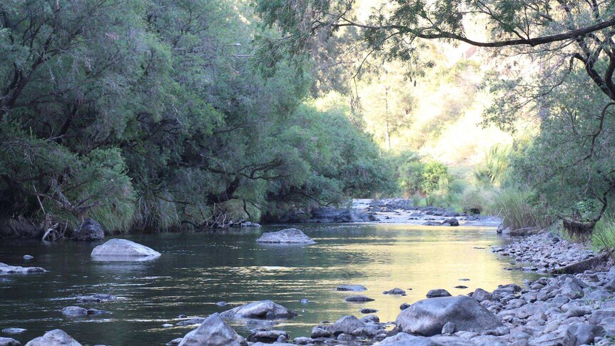 The upper reaches of the Manning River, west of Nowendoc.