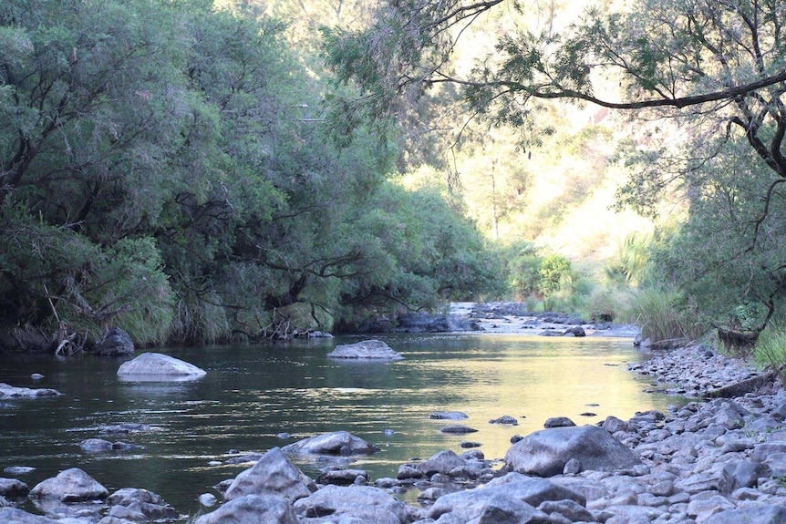 The upper reaches of the Manning River, west of Nowendoc.