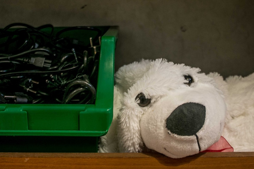 Unwanted cables and an unstuffed teddy bear on the shelf at REmida.