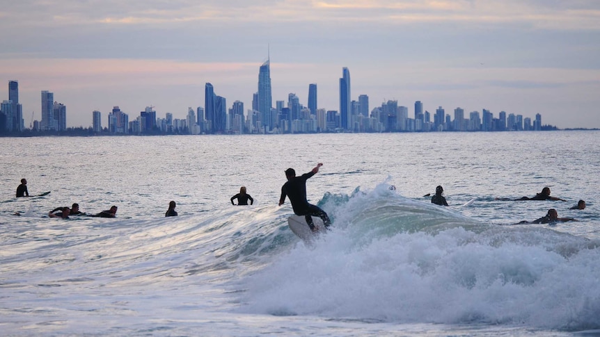 surfer surfing