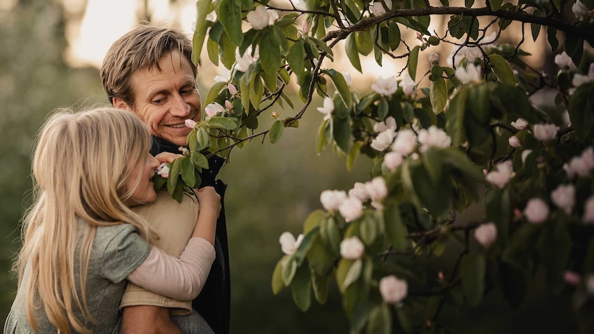 a father holding his daughter in a piggy-back stops to look at a flowering quince tree