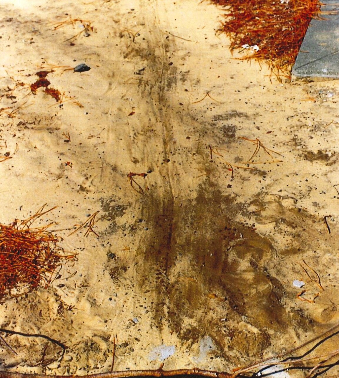 Markings on a sandy patch of land