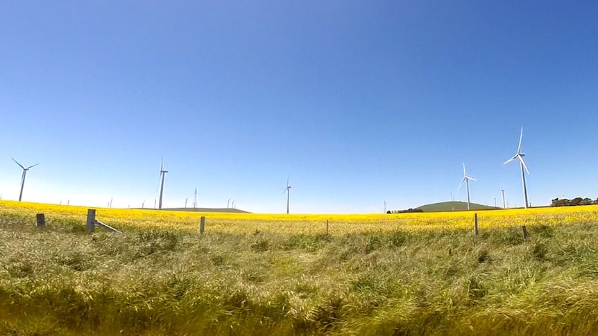 A wind farm in Waubra in north-western Victoria